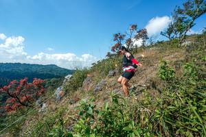 BIB: 
                            <button type="button" onclick="openModal(28096375)" class="btn btn-primary btn-sm float-right btn-popup" data-toggle="modal" data-target=".modal-high-quality">
                        <i class="fas fa-shopping-cart"></i> Add to Cart
                    </button>
                                            <button type="button" onclick="isThisMe(28096375, true)" class="btn btn-success btn-sm float-right btn-popup btn-isme hidden" data-toggle="tooltip" data-placement="bottom" title="นี่คือรูปของคุณใช่ไหม คลิกที่นี่เพื่อเอาเข้าอัลบั้ม">
                        <i class="fas fa-plus"></i> Add to album
                    </button>
                    <button type="button" onclick="isThisMe(28096375, false)" class="btn btn-warning btn-sm float-right btn-popup btn-isnotme hidden">
                        <i class="fas fa-ban"></i> Remove from album
                    </button>