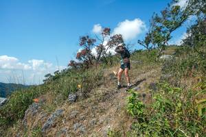 BIB: 
                            <button type="button" onclick="openModal(28096382)" class="btn btn-primary btn-sm float-right btn-popup" data-toggle="modal" data-target=".modal-high-quality">
                        <i class="fas fa-shopping-cart"></i> Add to Cart
                    </button>
                                            <button type="button" onclick="isThisMe(28096382, true)" class="btn btn-success btn-sm float-right btn-popup btn-isme hidden" data-toggle="tooltip" data-placement="bottom" title="นี่คือรูปของคุณใช่ไหม คลิกที่นี่เพื่อเอาเข้าอัลบั้ม">
                        <i class="fas fa-plus"></i> Add to album
                    </button>
                    <button type="button" onclick="isThisMe(28096382, false)" class="btn btn-warning btn-sm float-right btn-popup btn-isnotme hidden">
                        <i class="fas fa-ban"></i> Remove from album
                    </button>