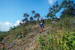 BIB: 
                            <button type="button" onclick="openModal(28096820)" class="btn btn-primary btn-sm float-right btn-popup" data-toggle="modal" data-target=".modal-high-quality">
                        <i class="fas fa-shopping-cart"></i> Add to Cart
                    </button>
                                            <button type="button" onclick="isThisMe(28096820, true)" class="btn btn-success btn-sm float-right btn-popup btn-isme hidden" data-toggle="tooltip" data-placement="bottom" title="นี่คือรูปของคุณใช่ไหม คลิกที่นี่เพื่อเอาเข้าอัลบั้ม">
                        <i class="fas fa-plus"></i> Add to album
                    </button>
                    <button type="button" onclick="isThisMe(28096820, false)" class="btn btn-warning btn-sm float-right btn-popup btn-isnotme hidden">
                        <i class="fas fa-ban"></i> Remove from album
                    </button>