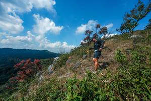 BIB: 
                            <button type="button" onclick="openModal(28096094)" class="btn btn-primary btn-sm float-right btn-popup" data-toggle="modal" data-target=".modal-high-quality">
                        <i class="fas fa-shopping-cart"></i> Add to Cart
                    </button>
                                            <button type="button" onclick="isThisMe(28096094, true)" class="btn btn-success btn-sm float-right btn-popup btn-isme hidden" data-toggle="tooltip" data-placement="bottom" title="นี่คือรูปของคุณใช่ไหม คลิกที่นี่เพื่อเอาเข้าอัลบั้ม">
                        <i class="fas fa-plus"></i> Add to album
                    </button>
                    <button type="button" onclick="isThisMe(28096094, false)" class="btn btn-warning btn-sm float-right btn-popup btn-isnotme hidden">
                        <i class="fas fa-ban"></i> Remove from album
                    </button>