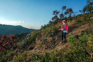 BIB: 
                            <button type="button" onclick="openModal(28099498)" class="btn btn-primary btn-sm float-right btn-popup" data-toggle="modal" data-target=".modal-high-quality">
                        <i class="fas fa-shopping-cart"></i> Add to Cart
                    </button>
                                            <button type="button" onclick="isThisMe(28099498, true)" class="btn btn-success btn-sm float-right btn-popup btn-isme hidden" data-toggle="tooltip" data-placement="bottom" title="นี่คือรูปของคุณใช่ไหม คลิกที่นี่เพื่อเอาเข้าอัลบั้ม">
                        <i class="fas fa-plus"></i> Add to album
                    </button>
                    <button type="button" onclick="isThisMe(28099498, false)" class="btn btn-warning btn-sm float-right btn-popup btn-isnotme hidden">
                        <i class="fas fa-ban"></i> Remove from album
                    </button>