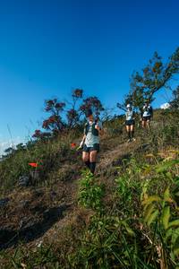 BIB: 
                            <button type="button" onclick="openModal(28098889)" class="btn btn-primary btn-sm float-right btn-popup" data-toggle="modal" data-target=".modal-high-quality">
                        <i class="fas fa-shopping-cart"></i> Add to Cart
                    </button>
                                            <button type="button" onclick="isThisMe(28098889, true)" class="btn btn-success btn-sm float-right btn-popup btn-isme hidden" data-toggle="tooltip" data-placement="bottom" title="นี่คือรูปของคุณใช่ไหม คลิกที่นี่เพื่อเอาเข้าอัลบั้ม">
                        <i class="fas fa-plus"></i> Add to album
                    </button>
                    <button type="button" onclick="isThisMe(28098889, false)" class="btn btn-warning btn-sm float-right btn-popup btn-isnotme hidden">
                        <i class="fas fa-ban"></i> Remove from album
                    </button>