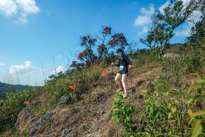 BIB: 
                            <button type="button" onclick="openModal(28097933)" class="btn btn-primary btn-sm float-right btn-popup" data-toggle="modal" data-target=".modal-high-quality">
                        <i class="fas fa-shopping-cart"></i> Add to Cart
                    </button>
                                            <button type="button" onclick="isThisMe(28097933, true)" class="btn btn-success btn-sm float-right btn-popup btn-isme hidden" data-toggle="tooltip" data-placement="bottom" title="นี่คือรูปของคุณใช่ไหม คลิกที่นี่เพื่อเอาเข้าอัลบั้ม">
                        <i class="fas fa-plus"></i> Add to album
                    </button>
                    <button type="button" onclick="isThisMe(28097933, false)" class="btn btn-warning btn-sm float-right btn-popup btn-isnotme hidden">
                        <i class="fas fa-ban"></i> Remove from album
                    </button>