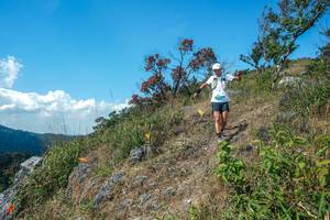 BIB: 
                            <button type="button" onclick="openModal(28096292)" class="btn btn-primary btn-sm float-right btn-popup" data-toggle="modal" data-target=".modal-high-quality">
                        <i class="fas fa-shopping-cart"></i> Add to Cart
                    </button>
                                            <button type="button" onclick="isThisMe(28096292, true)" class="btn btn-success btn-sm float-right btn-popup btn-isme hidden" data-toggle="tooltip" data-placement="bottom" title="นี่คือรูปของคุณใช่ไหม คลิกที่นี่เพื่อเอาเข้าอัลบั้ม">
                        <i class="fas fa-plus"></i> Add to album
                    </button>
                    <button type="button" onclick="isThisMe(28096292, false)" class="btn btn-warning btn-sm float-right btn-popup btn-isnotme hidden">
                        <i class="fas fa-ban"></i> Remove from album
                    </button>