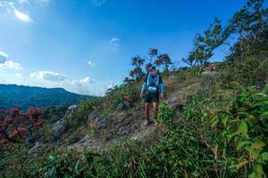 BIB: 
                            <button type="button" onclick="openModal(28098177)" class="btn btn-primary btn-sm float-right btn-popup" data-toggle="modal" data-target=".modal-high-quality">
                        <i class="fas fa-shopping-cart"></i> Add to Cart
                    </button>
                                            <button type="button" onclick="isThisMe(28098177, true)" class="btn btn-success btn-sm float-right btn-popup btn-isme hidden" data-toggle="tooltip" data-placement="bottom" title="นี่คือรูปของคุณใช่ไหม คลิกที่นี่เพื่อเอาเข้าอัลบั้ม">
                        <i class="fas fa-plus"></i> Add to album
                    </button>
                    <button type="button" onclick="isThisMe(28098177, false)" class="btn btn-warning btn-sm float-right btn-popup btn-isnotme hidden">
                        <i class="fas fa-ban"></i> Remove from album
                    </button>