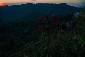 BIB: 
                            <button type="button" onclick="openModal(28099781)" class="btn btn-primary btn-sm float-right btn-popup" data-toggle="modal" data-target=".modal-high-quality">
                        <i class="fas fa-shopping-cart"></i> Add to Cart
                    </button>
                                            <button type="button" onclick="isThisMe(28099781, true)" class="btn btn-success btn-sm float-right btn-popup btn-isme hidden" data-toggle="tooltip" data-placement="bottom" title="นี่คือรูปของคุณใช่ไหม คลิกที่นี่เพื่อเอาเข้าอัลบั้ม">
                        <i class="fas fa-plus"></i> Add to album
                    </button>
                    <button type="button" onclick="isThisMe(28099781, false)" class="btn btn-warning btn-sm float-right btn-popup btn-isnotme hidden">
                        <i class="fas fa-ban"></i> Remove from album
                    </button>