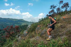 BIB: 
                            <button type="button" onclick="openModal(28095908)" class="btn btn-primary btn-sm float-right btn-popup" data-toggle="modal" data-target=".modal-high-quality">
                        <i class="fas fa-shopping-cart"></i> Add to Cart
                    </button>
                                            <button type="button" onclick="isThisMe(28095908, true)" class="btn btn-success btn-sm float-right btn-popup btn-isme hidden" data-toggle="tooltip" data-placement="bottom" title="นี่คือรูปของคุณใช่ไหม คลิกที่นี่เพื่อเอาเข้าอัลบั้ม">
                        <i class="fas fa-plus"></i> Add to album
                    </button>
                    <button type="button" onclick="isThisMe(28095908, false)" class="btn btn-warning btn-sm float-right btn-popup btn-isnotme hidden">
                        <i class="fas fa-ban"></i> Remove from album
                    </button>