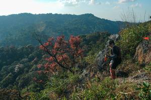 BIB: 
                            <button type="button" onclick="openModal(28099173)" class="btn btn-primary btn-sm float-right btn-popup" data-toggle="modal" data-target=".modal-high-quality">
                        <i class="fas fa-shopping-cart"></i> Add to Cart
                    </button>
                                            <button type="button" onclick="isThisMe(28099173, true)" class="btn btn-success btn-sm float-right btn-popup btn-isme hidden" data-toggle="tooltip" data-placement="bottom" title="นี่คือรูปของคุณใช่ไหม คลิกที่นี่เพื่อเอาเข้าอัลบั้ม">
                        <i class="fas fa-plus"></i> Add to album
                    </button>
                    <button type="button" onclick="isThisMe(28099173, false)" class="btn btn-warning btn-sm float-right btn-popup btn-isnotme hidden">
                        <i class="fas fa-ban"></i> Remove from album
                    </button>