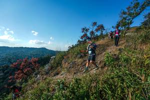 BIB: 
                            <button type="button" onclick="openModal(28098462)" class="btn btn-primary btn-sm float-right btn-popup" data-toggle="modal" data-target=".modal-high-quality">
                        <i class="fas fa-shopping-cart"></i> Add to Cart
                    </button>
                                            <button type="button" onclick="isThisMe(28098462, true)" class="btn btn-success btn-sm float-right btn-popup btn-isme hidden" data-toggle="tooltip" data-placement="bottom" title="นี่คือรูปของคุณใช่ไหม คลิกที่นี่เพื่อเอาเข้าอัลบั้ม">
                        <i class="fas fa-plus"></i> Add to album
                    </button>
                    <button type="button" onclick="isThisMe(28098462, false)" class="btn btn-warning btn-sm float-right btn-popup btn-isnotme hidden">
                        <i class="fas fa-ban"></i> Remove from album
                    </button>