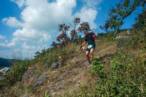 BIB: 
                            <button type="button" onclick="openModal(28096254)" class="btn btn-primary btn-sm float-right btn-popup" data-toggle="modal" data-target=".modal-high-quality">
                        <i class="fas fa-shopping-cart"></i> Add to Cart
                    </button>
                                            <button type="button" onclick="isThisMe(28096254, true)" class="btn btn-success btn-sm float-right btn-popup btn-isme hidden" data-toggle="tooltip" data-placement="bottom" title="นี่คือรูปของคุณใช่ไหม คลิกที่นี่เพื่อเอาเข้าอัลบั้ม">
                        <i class="fas fa-plus"></i> Add to album
                    </button>
                    <button type="button" onclick="isThisMe(28096254, false)" class="btn btn-warning btn-sm float-right btn-popup btn-isnotme hidden">
                        <i class="fas fa-ban"></i> Remove from album
                    </button>