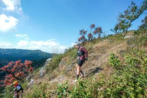 BIB: 
                            <button type="button" onclick="openModal(28096602)" class="btn btn-primary btn-sm float-right btn-popup" data-toggle="modal" data-target=".modal-high-quality">
                        <i class="fas fa-shopping-cart"></i> Add to Cart
                    </button>
                                            <button type="button" onclick="isThisMe(28096602, true)" class="btn btn-success btn-sm float-right btn-popup btn-isme hidden" data-toggle="tooltip" data-placement="bottom" title="นี่คือรูปของคุณใช่ไหม คลิกที่นี่เพื่อเอาเข้าอัลบั้ม">
                        <i class="fas fa-plus"></i> Add to album
                    </button>
                    <button type="button" onclick="isThisMe(28096602, false)" class="btn btn-warning btn-sm float-right btn-popup btn-isnotme hidden">
                        <i class="fas fa-ban"></i> Remove from album
                    </button>