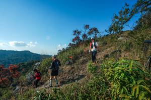 BIB: 
                            <button type="button" onclick="openModal(28098761)" class="btn btn-primary btn-sm float-right btn-popup" data-toggle="modal" data-target=".modal-high-quality">
                        <i class="fas fa-shopping-cart"></i> Add to Cart
                    </button>
                                            <button type="button" onclick="isThisMe(28098761, true)" class="btn btn-success btn-sm float-right btn-popup btn-isme hidden" data-toggle="tooltip" data-placement="bottom" title="นี่คือรูปของคุณใช่ไหม คลิกที่นี่เพื่อเอาเข้าอัลบั้ม">
                        <i class="fas fa-plus"></i> Add to album
                    </button>
                    <button type="button" onclick="isThisMe(28098761, false)" class="btn btn-warning btn-sm float-right btn-popup btn-isnotme hidden">
                        <i class="fas fa-ban"></i> Remove from album
                    </button>