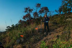 BIB: 
                            <button type="button" onclick="openModal(28099578)" class="btn btn-primary btn-sm float-right btn-popup" data-toggle="modal" data-target=".modal-high-quality">
                        <i class="fas fa-shopping-cart"></i> Add to Cart
                    </button>
                                            <button type="button" onclick="isThisMe(28099578, true)" class="btn btn-success btn-sm float-right btn-popup btn-isme hidden" data-toggle="tooltip" data-placement="bottom" title="นี่คือรูปของคุณใช่ไหม คลิกที่นี่เพื่อเอาเข้าอัลบั้ม">
                        <i class="fas fa-plus"></i> Add to album
                    </button>
                    <button type="button" onclick="isThisMe(28099578, false)" class="btn btn-warning btn-sm float-right btn-popup btn-isnotme hidden">
                        <i class="fas fa-ban"></i> Remove from album
                    </button>