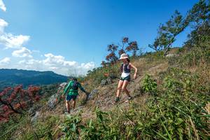 BIB: 
                            <button type="button" onclick="openModal(28096663)" class="btn btn-primary btn-sm float-right btn-popup" data-toggle="modal" data-target=".modal-high-quality">
                        <i class="fas fa-shopping-cart"></i> Add to Cart
                    </button>
                                            <button type="button" onclick="isThisMe(28096663, true)" class="btn btn-success btn-sm float-right btn-popup btn-isme hidden" data-toggle="tooltip" data-placement="bottom" title="นี่คือรูปของคุณใช่ไหม คลิกที่นี่เพื่อเอาเข้าอัลบั้ม">
                        <i class="fas fa-plus"></i> Add to album
                    </button>
                    <button type="button" onclick="isThisMe(28096663, false)" class="btn btn-warning btn-sm float-right btn-popup btn-isnotme hidden">
                        <i class="fas fa-ban"></i> Remove from album
                    </button>