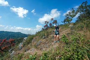 BIB: 
                            <button type="button" onclick="openModal(28096504)" class="btn btn-primary btn-sm float-right btn-popup" data-toggle="modal" data-target=".modal-high-quality">
                        <i class="fas fa-shopping-cart"></i> Add to Cart
                    </button>
                                            <button type="button" onclick="isThisMe(28096504, true)" class="btn btn-success btn-sm float-right btn-popup btn-isme hidden" data-toggle="tooltip" data-placement="bottom" title="นี่คือรูปของคุณใช่ไหม คลิกที่นี่เพื่อเอาเข้าอัลบั้ม">
                        <i class="fas fa-plus"></i> Add to album
                    </button>
                    <button type="button" onclick="isThisMe(28096504, false)" class="btn btn-warning btn-sm float-right btn-popup btn-isnotme hidden">
                        <i class="fas fa-ban"></i> Remove from album
                    </button>