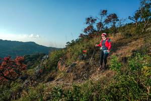 BIB: 
                            <button type="button" onclick="openModal(28099501)" class="btn btn-primary btn-sm float-right btn-popup" data-toggle="modal" data-target=".modal-high-quality">
                        <i class="fas fa-shopping-cart"></i> Add to Cart
                    </button>
                                            <button type="button" onclick="isThisMe(28099501, true)" class="btn btn-success btn-sm float-right btn-popup btn-isme hidden" data-toggle="tooltip" data-placement="bottom" title="นี่คือรูปของคุณใช่ไหม คลิกที่นี่เพื่อเอาเข้าอัลบั้ม">
                        <i class="fas fa-plus"></i> Add to album
                    </button>
                    <button type="button" onclick="isThisMe(28099501, false)" class="btn btn-warning btn-sm float-right btn-popup btn-isnotme hidden">
                        <i class="fas fa-ban"></i> Remove from album
                    </button>