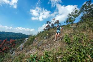 BIB: 
                            <button type="button" onclick="openModal(28096475)" class="btn btn-primary btn-sm float-right btn-popup" data-toggle="modal" data-target=".modal-high-quality">
                        <i class="fas fa-shopping-cart"></i> Add to Cart
                    </button>
                                            <button type="button" onclick="isThisMe(28096475, true)" class="btn btn-success btn-sm float-right btn-popup btn-isme hidden" data-toggle="tooltip" data-placement="bottom" title="นี่คือรูปของคุณใช่ไหม คลิกที่นี่เพื่อเอาเข้าอัลบั้ม">
                        <i class="fas fa-plus"></i> Add to album
                    </button>
                    <button type="button" onclick="isThisMe(28096475, false)" class="btn btn-warning btn-sm float-right btn-popup btn-isnotme hidden">
                        <i class="fas fa-ban"></i> Remove from album
                    </button>