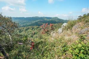 BIB: 
                            <button type="button" onclick="openModal(28095736)" class="btn btn-primary btn-sm float-right btn-popup" data-toggle="modal" data-target=".modal-high-quality">
                        <i class="fas fa-shopping-cart"></i> Add to Cart
                    </button>
                                            <button type="button" onclick="isThisMe(28095736, true)" class="btn btn-success btn-sm float-right btn-popup btn-isme hidden" data-toggle="tooltip" data-placement="bottom" title="นี่คือรูปของคุณใช่ไหม คลิกที่นี่เพื่อเอาเข้าอัลบั้ม">
                        <i class="fas fa-plus"></i> Add to album
                    </button>
                    <button type="button" onclick="isThisMe(28095736, false)" class="btn btn-warning btn-sm float-right btn-popup btn-isnotme hidden">
                        <i class="fas fa-ban"></i> Remove from album
                    </button>