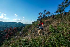 BIB: 
                            <button type="button" onclick="openModal(28098417)" class="btn btn-primary btn-sm float-right btn-popup" data-toggle="modal" data-target=".modal-high-quality">
                        <i class="fas fa-shopping-cart"></i> Add to Cart
                    </button>
                                            <button type="button" onclick="isThisMe(28098417, true)" class="btn btn-success btn-sm float-right btn-popup btn-isme hidden" data-toggle="tooltip" data-placement="bottom" title="นี่คือรูปของคุณใช่ไหม คลิกที่นี่เพื่อเอาเข้าอัลบั้ม">
                        <i class="fas fa-plus"></i> Add to album
                    </button>
                    <button type="button" onclick="isThisMe(28098417, false)" class="btn btn-warning btn-sm float-right btn-popup btn-isnotme hidden">
                        <i class="fas fa-ban"></i> Remove from album
                    </button>