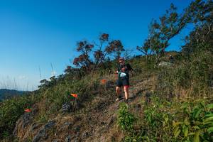 BIB: 
                            <button type="button" onclick="openModal(28098624)" class="btn btn-primary btn-sm float-right btn-popup" data-toggle="modal" data-target=".modal-high-quality">
                        <i class="fas fa-shopping-cart"></i> Add to Cart
                    </button>
                                            <button type="button" onclick="isThisMe(28098624, true)" class="btn btn-success btn-sm float-right btn-popup btn-isme hidden" data-toggle="tooltip" data-placement="bottom" title="นี่คือรูปของคุณใช่ไหม คลิกที่นี่เพื่อเอาเข้าอัลบั้ม">
                        <i class="fas fa-plus"></i> Add to album
                    </button>
                    <button type="button" onclick="isThisMe(28098624, false)" class="btn btn-warning btn-sm float-right btn-popup btn-isnotme hidden">
                        <i class="fas fa-ban"></i> Remove from album
                    </button>