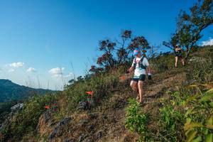 BIB: 
                            <button type="button" onclick="openModal(28099039)" class="btn btn-primary btn-sm float-right btn-popup" data-toggle="modal" data-target=".modal-high-quality">
                        <i class="fas fa-shopping-cart"></i> Add to Cart
                    </button>
                                            <button type="button" onclick="isThisMe(28099039, true)" class="btn btn-success btn-sm float-right btn-popup btn-isme hidden" data-toggle="tooltip" data-placement="bottom" title="นี่คือรูปของคุณใช่ไหม คลิกที่นี่เพื่อเอาเข้าอัลบั้ม">
                        <i class="fas fa-plus"></i> Add to album
                    </button>
                    <button type="button" onclick="isThisMe(28099039, false)" class="btn btn-warning btn-sm float-right btn-popup btn-isnotme hidden">
                        <i class="fas fa-ban"></i> Remove from album
                    </button>