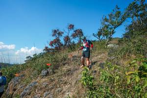 BIB: 
                            <button type="button" onclick="openModal(28096632)" class="btn btn-primary btn-sm float-right btn-popup" data-toggle="modal" data-target=".modal-high-quality">
                        <i class="fas fa-shopping-cart"></i> Add to Cart
                    </button>
                                            <button type="button" onclick="isThisMe(28096632, true)" class="btn btn-success btn-sm float-right btn-popup btn-isme hidden" data-toggle="tooltip" data-placement="bottom" title="นี่คือรูปของคุณใช่ไหม คลิกที่นี่เพื่อเอาเข้าอัลบั้ม">
                        <i class="fas fa-plus"></i> Add to album
                    </button>
                    <button type="button" onclick="isThisMe(28096632, false)" class="btn btn-warning btn-sm float-right btn-popup btn-isnotme hidden">
                        <i class="fas fa-ban"></i> Remove from album
                    </button>