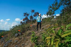 BIB: 
                            <button type="button" onclick="openModal(28097262)" class="btn btn-primary btn-sm float-right btn-popup" data-toggle="modal" data-target=".modal-high-quality">
                        <i class="fas fa-shopping-cart"></i> Add to Cart
                    </button>
                                            <button type="button" onclick="isThisMe(28097262, true)" class="btn btn-success btn-sm float-right btn-popup btn-isme hidden" data-toggle="tooltip" data-placement="bottom" title="นี่คือรูปของคุณใช่ไหม คลิกที่นี่เพื่อเอาเข้าอัลบั้ม">
                        <i class="fas fa-plus"></i> Add to album
                    </button>
                    <button type="button" onclick="isThisMe(28097262, false)" class="btn btn-warning btn-sm float-right btn-popup btn-isnotme hidden">
                        <i class="fas fa-ban"></i> Remove from album
                    </button>