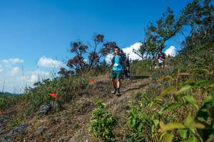 BIB: 
                            <button type="button" onclick="openModal(28097307)" class="btn btn-primary btn-sm float-right btn-popup" data-toggle="modal" data-target=".modal-high-quality">
                        <i class="fas fa-shopping-cart"></i> Add to Cart
                    </button>
                                            <button type="button" onclick="isThisMe(28097307, true)" class="btn btn-success btn-sm float-right btn-popup btn-isme hidden" data-toggle="tooltip" data-placement="bottom" title="นี่คือรูปของคุณใช่ไหม คลิกที่นี่เพื่อเอาเข้าอัลบั้ม">
                        <i class="fas fa-plus"></i> Add to album
                    </button>
                    <button type="button" onclick="isThisMe(28097307, false)" class="btn btn-warning btn-sm float-right btn-popup btn-isnotme hidden">
                        <i class="fas fa-ban"></i> Remove from album
                    </button>