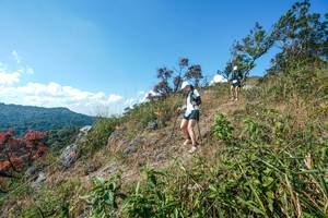 BIB: 
                            <button type="button" onclick="openModal(28096958)" class="btn btn-primary btn-sm float-right btn-popup" data-toggle="modal" data-target=".modal-high-quality">
                        <i class="fas fa-shopping-cart"></i> Add to Cart
                    </button>
                                            <button type="button" onclick="isThisMe(28096958, true)" class="btn btn-success btn-sm float-right btn-popup btn-isme hidden" data-toggle="tooltip" data-placement="bottom" title="นี่คือรูปของคุณใช่ไหม คลิกที่นี่เพื่อเอาเข้าอัลบั้ม">
                        <i class="fas fa-plus"></i> Add to album
                    </button>
                    <button type="button" onclick="isThisMe(28096958, false)" class="btn btn-warning btn-sm float-right btn-popup btn-isnotme hidden">
                        <i class="fas fa-ban"></i> Remove from album
                    </button>