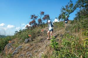 BIB: 
                            <button type="button" onclick="openModal(28096957)" class="btn btn-primary btn-sm float-right btn-popup" data-toggle="modal" data-target=".modal-high-quality">
                        <i class="fas fa-shopping-cart"></i> Add to Cart
                    </button>
                                            <button type="button" onclick="isThisMe(28096957, true)" class="btn btn-success btn-sm float-right btn-popup btn-isme hidden" data-toggle="tooltip" data-placement="bottom" title="นี่คือรูปของคุณใช่ไหม คลิกที่นี่เพื่อเอาเข้าอัลบั้ม">
                        <i class="fas fa-plus"></i> Add to album
                    </button>
                    <button type="button" onclick="isThisMe(28096957, false)" class="btn btn-warning btn-sm float-right btn-popup btn-isnotme hidden">
                        <i class="fas fa-ban"></i> Remove from album
                    </button>