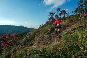 BIB: 
                            <button type="button" onclick="openModal(28099323)" class="btn btn-primary btn-sm float-right btn-popup" data-toggle="modal" data-target=".modal-high-quality">
                        <i class="fas fa-shopping-cart"></i> Add to Cart
                    </button>
                                            <button type="button" onclick="isThisMe(28099323, true)" class="btn btn-success btn-sm float-right btn-popup btn-isme hidden" data-toggle="tooltip" data-placement="bottom" title="นี่คือรูปของคุณใช่ไหม คลิกที่นี่เพื่อเอาเข้าอัลบั้ม">
                        <i class="fas fa-plus"></i> Add to album
                    </button>
                    <button type="button" onclick="isThisMe(28099323, false)" class="btn btn-warning btn-sm float-right btn-popup btn-isnotme hidden">
                        <i class="fas fa-ban"></i> Remove from album
                    </button>