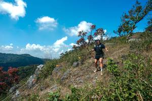 BIB: 
                            <button type="button" onclick="openModal(28096146)" class="btn btn-primary btn-sm float-right btn-popup" data-toggle="modal" data-target=".modal-high-quality">
                        <i class="fas fa-shopping-cart"></i> Add to Cart
                    </button>
                                            <button type="button" onclick="isThisMe(28096146, true)" class="btn btn-success btn-sm float-right btn-popup btn-isme hidden" data-toggle="tooltip" data-placement="bottom" title="นี่คือรูปของคุณใช่ไหม คลิกที่นี่เพื่อเอาเข้าอัลบั้ม">
                        <i class="fas fa-plus"></i> Add to album
                    </button>
                    <button type="button" onclick="isThisMe(28096146, false)" class="btn btn-warning btn-sm float-right btn-popup btn-isnotme hidden">
                        <i class="fas fa-ban"></i> Remove from album
                    </button>