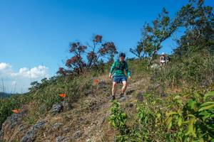 BIB: 
                            <button type="button" onclick="openModal(28096655)" class="btn btn-primary btn-sm float-right btn-popup" data-toggle="modal" data-target=".modal-high-quality">
                        <i class="fas fa-shopping-cart"></i> Add to Cart
                    </button>
                                            <button type="button" onclick="isThisMe(28096655, true)" class="btn btn-success btn-sm float-right btn-popup btn-isme hidden" data-toggle="tooltip" data-placement="bottom" title="นี่คือรูปของคุณใช่ไหม คลิกที่นี่เพื่อเอาเข้าอัลบั้ม">
                        <i class="fas fa-plus"></i> Add to album
                    </button>
                    <button type="button" onclick="isThisMe(28096655, false)" class="btn btn-warning btn-sm float-right btn-popup btn-isnotme hidden">
                        <i class="fas fa-ban"></i> Remove from album
                    </button>