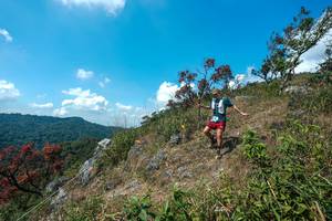 BIB: 
                            <button type="button" onclick="openModal(28096152)" class="btn btn-primary btn-sm float-right btn-popup" data-toggle="modal" data-target=".modal-high-quality">
                        <i class="fas fa-shopping-cart"></i> Add to Cart
                    </button>
                                            <button type="button" onclick="isThisMe(28096152, true)" class="btn btn-success btn-sm float-right btn-popup btn-isme hidden" data-toggle="tooltip" data-placement="bottom" title="นี่คือรูปของคุณใช่ไหม คลิกที่นี่เพื่อเอาเข้าอัลบั้ม">
                        <i class="fas fa-plus"></i> Add to album
                    </button>
                    <button type="button" onclick="isThisMe(28096152, false)" class="btn btn-warning btn-sm float-right btn-popup btn-isnotme hidden">
                        <i class="fas fa-ban"></i> Remove from album
                    </button>