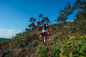 BIB: 
                            <button type="button" onclick="openModal(28098999)" class="btn btn-primary btn-sm float-right btn-popup" data-toggle="modal" data-target=".modal-high-quality">
                        <i class="fas fa-shopping-cart"></i> Add to Cart
                    </button>
                                            <button type="button" onclick="isThisMe(28098999, true)" class="btn btn-success btn-sm float-right btn-popup btn-isme hidden" data-toggle="tooltip" data-placement="bottom" title="นี่คือรูปของคุณใช่ไหม คลิกที่นี่เพื่อเอาเข้าอัลบั้ม">
                        <i class="fas fa-plus"></i> Add to album
                    </button>
                    <button type="button" onclick="isThisMe(28098999, false)" class="btn btn-warning btn-sm float-right btn-popup btn-isnotme hidden">
                        <i class="fas fa-ban"></i> Remove from album
                    </button>