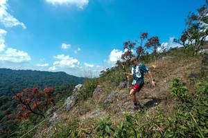 BIB: 
                            <button type="button" onclick="openModal(28096168)" class="btn btn-primary btn-sm float-right btn-popup" data-toggle="modal" data-target=".modal-high-quality">
                        <i class="fas fa-shopping-cart"></i> Add to Cart
                    </button>
                                            <button type="button" onclick="isThisMe(28096168, true)" class="btn btn-success btn-sm float-right btn-popup btn-isme hidden" data-toggle="tooltip" data-placement="bottom" title="นี่คือรูปของคุณใช่ไหม คลิกที่นี่เพื่อเอาเข้าอัลบั้ม">
                        <i class="fas fa-plus"></i> Add to album
                    </button>
                    <button type="button" onclick="isThisMe(28096168, false)" class="btn btn-warning btn-sm float-right btn-popup btn-isnotme hidden">
                        <i class="fas fa-ban"></i> Remove from album
                    </button>