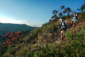 BIB: 
                            <button type="button" onclick="openModal(28099505)" class="btn btn-primary btn-sm float-right btn-popup" data-toggle="modal" data-target=".modal-high-quality">
                        <i class="fas fa-shopping-cart"></i> Add to Cart
                    </button>
                                            <button type="button" onclick="isThisMe(28099505, true)" class="btn btn-success btn-sm float-right btn-popup btn-isme hidden" data-toggle="tooltip" data-placement="bottom" title="นี่คือรูปของคุณใช่ไหม คลิกที่นี่เพื่อเอาเข้าอัลบั้ม">
                        <i class="fas fa-plus"></i> Add to album
                    </button>
                    <button type="button" onclick="isThisMe(28099505, false)" class="btn btn-warning btn-sm float-right btn-popup btn-isnotme hidden">
                        <i class="fas fa-ban"></i> Remove from album
                    </button>