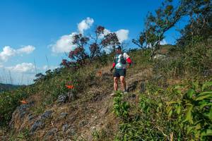 BIB: 
                            <button type="button" onclick="openModal(28097570)" class="btn btn-primary btn-sm float-right btn-popup" data-toggle="modal" data-target=".modal-high-quality">
                        <i class="fas fa-shopping-cart"></i> Add to Cart
                    </button>
                                            <button type="button" onclick="isThisMe(28097570, true)" class="btn btn-success btn-sm float-right btn-popup btn-isme hidden" data-toggle="tooltip" data-placement="bottom" title="นี่คือรูปของคุณใช่ไหม คลิกที่นี่เพื่อเอาเข้าอัลบั้ม">
                        <i class="fas fa-plus"></i> Add to album
                    </button>
                    <button type="button" onclick="isThisMe(28097570, false)" class="btn btn-warning btn-sm float-right btn-popup btn-isnotme hidden">
                        <i class="fas fa-ban"></i> Remove from album
                    </button>