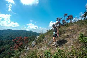 BIB: 
                            <button type="button" onclick="openModal(28096176)" class="btn btn-primary btn-sm float-right btn-popup" data-toggle="modal" data-target=".modal-high-quality">
                        <i class="fas fa-shopping-cart"></i> Add to Cart
                    </button>
                                            <button type="button" onclick="isThisMe(28096176, true)" class="btn btn-success btn-sm float-right btn-popup btn-isme hidden" data-toggle="tooltip" data-placement="bottom" title="นี่คือรูปของคุณใช่ไหม คลิกที่นี่เพื่อเอาเข้าอัลบั้ม">
                        <i class="fas fa-plus"></i> Add to album
                    </button>
                    <button type="button" onclick="isThisMe(28096176, false)" class="btn btn-warning btn-sm float-right btn-popup btn-isnotme hidden">
                        <i class="fas fa-ban"></i> Remove from album
                    </button>