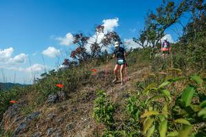 BIB: 
                            <button type="button" onclick="openModal(28097474)" class="btn btn-primary btn-sm float-right btn-popup" data-toggle="modal" data-target=".modal-high-quality">
                        <i class="fas fa-shopping-cart"></i> Add to Cart
                    </button>
                                            <button type="button" onclick="isThisMe(28097474, true)" class="btn btn-success btn-sm float-right btn-popup btn-isme hidden" data-toggle="tooltip" data-placement="bottom" title="นี่คือรูปของคุณใช่ไหม คลิกที่นี่เพื่อเอาเข้าอัลบั้ม">
                        <i class="fas fa-plus"></i> Add to album
                    </button>
                    <button type="button" onclick="isThisMe(28097474, false)" class="btn btn-warning btn-sm float-right btn-popup btn-isnotme hidden">
                        <i class="fas fa-ban"></i> Remove from album
                    </button>