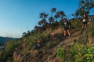 BIB: 
                            <button type="button" onclick="openModal(28099447)" class="btn btn-primary btn-sm float-right btn-popup" data-toggle="modal" data-target=".modal-high-quality">
                        <i class="fas fa-shopping-cart"></i> Add to Cart
                    </button>
                                            <button type="button" onclick="isThisMe(28099447, true)" class="btn btn-success btn-sm float-right btn-popup btn-isme hidden" data-toggle="tooltip" data-placement="bottom" title="นี่คือรูปของคุณใช่ไหม คลิกที่นี่เพื่อเอาเข้าอัลบั้ม">
                        <i class="fas fa-plus"></i> Add to album
                    </button>
                    <button type="button" onclick="isThisMe(28099447, false)" class="btn btn-warning btn-sm float-right btn-popup btn-isnotme hidden">
                        <i class="fas fa-ban"></i> Remove from album
                    </button>