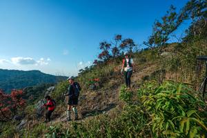 BIB: 
                            <button type="button" onclick="openModal(28098773)" class="btn btn-primary btn-sm float-right btn-popup" data-toggle="modal" data-target=".modal-high-quality">
                        <i class="fas fa-shopping-cart"></i> Add to Cart
                    </button>
                                            <button type="button" onclick="isThisMe(28098773, true)" class="btn btn-success btn-sm float-right btn-popup btn-isme hidden" data-toggle="tooltip" data-placement="bottom" title="นี่คือรูปของคุณใช่ไหม คลิกที่นี่เพื่อเอาเข้าอัลบั้ม">
                        <i class="fas fa-plus"></i> Add to album
                    </button>
                    <button type="button" onclick="isThisMe(28098773, false)" class="btn btn-warning btn-sm float-right btn-popup btn-isnotme hidden">
                        <i class="fas fa-ban"></i> Remove from album
                    </button>