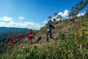 BIB: 
                            <button type="button" onclick="openModal(28097423)" class="btn btn-primary btn-sm float-right btn-popup" data-toggle="modal" data-target=".modal-high-quality">
                        <i class="fas fa-shopping-cart"></i> Add to Cart
                    </button>
                                            <button type="button" onclick="isThisMe(28097423, true)" class="btn btn-success btn-sm float-right btn-popup btn-isme hidden" data-toggle="tooltip" data-placement="bottom" title="นี่คือรูปของคุณใช่ไหม คลิกที่นี่เพื่อเอาเข้าอัลบั้ม">
                        <i class="fas fa-plus"></i> Add to album
                    </button>
                    <button type="button" onclick="isThisMe(28097423, false)" class="btn btn-warning btn-sm float-right btn-popup btn-isnotme hidden">
                        <i class="fas fa-ban"></i> Remove from album
                    </button>