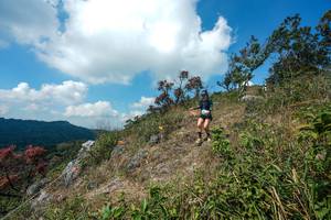 BIB: 
                            <button type="button" onclick="openModal(28096053)" class="btn btn-primary btn-sm float-right btn-popup" data-toggle="modal" data-target=".modal-high-quality">
                        <i class="fas fa-shopping-cart"></i> Add to Cart
                    </button>
                                            <button type="button" onclick="isThisMe(28096053, true)" class="btn btn-success btn-sm float-right btn-popup btn-isme hidden" data-toggle="tooltip" data-placement="bottom" title="นี่คือรูปของคุณใช่ไหม คลิกที่นี่เพื่อเอาเข้าอัลบั้ม">
                        <i class="fas fa-plus"></i> Add to album
                    </button>
                    <button type="button" onclick="isThisMe(28096053, false)" class="btn btn-warning btn-sm float-right btn-popup btn-isnotme hidden">
                        <i class="fas fa-ban"></i> Remove from album
                    </button>