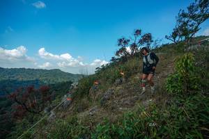 BIB: 
                            <button type="button" onclick="openModal(28095869)" class="btn btn-primary btn-sm float-right btn-popup" data-toggle="modal" data-target=".modal-high-quality">
                        <i class="fas fa-shopping-cart"></i> Add to Cart
                    </button>
                                            <button type="button" onclick="isThisMe(28095869, true)" class="btn btn-success btn-sm float-right btn-popup btn-isme hidden" data-toggle="tooltip" data-placement="bottom" title="นี่คือรูปของคุณใช่ไหม คลิกที่นี่เพื่อเอาเข้าอัลบั้ม">
                        <i class="fas fa-plus"></i> Add to album
                    </button>
                    <button type="button" onclick="isThisMe(28095869, false)" class="btn btn-warning btn-sm float-right btn-popup btn-isnotme hidden">
                        <i class="fas fa-ban"></i> Remove from album
                    </button>