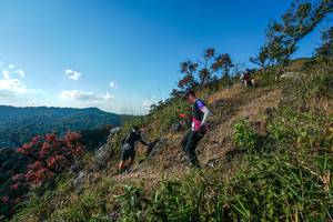 BIB: 
                            <button type="button" onclick="openModal(28098460)" class="btn btn-primary btn-sm float-right btn-popup" data-toggle="modal" data-target=".modal-high-quality">
                        <i class="fas fa-shopping-cart"></i> Add to Cart
                    </button>
                                            <button type="button" onclick="isThisMe(28098460, true)" class="btn btn-success btn-sm float-right btn-popup btn-isme hidden" data-toggle="tooltip" data-placement="bottom" title="นี่คือรูปของคุณใช่ไหม คลิกที่นี่เพื่อเอาเข้าอัลบั้ม">
                        <i class="fas fa-plus"></i> Add to album
                    </button>
                    <button type="button" onclick="isThisMe(28098460, false)" class="btn btn-warning btn-sm float-right btn-popup btn-isnotme hidden">
                        <i class="fas fa-ban"></i> Remove from album
                    </button>