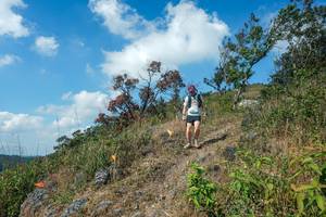 BIB: 
                            <button type="button" onclick="openModal(28096494)" class="btn btn-primary btn-sm float-right btn-popup" data-toggle="modal" data-target=".modal-high-quality">
                        <i class="fas fa-shopping-cart"></i> Add to Cart
                    </button>
                                            <button type="button" onclick="isThisMe(28096494, true)" class="btn btn-success btn-sm float-right btn-popup btn-isme hidden" data-toggle="tooltip" data-placement="bottom" title="นี่คือรูปของคุณใช่ไหม คลิกที่นี่เพื่อเอาเข้าอัลบั้ม">
                        <i class="fas fa-plus"></i> Add to album
                    </button>
                    <button type="button" onclick="isThisMe(28096494, false)" class="btn btn-warning btn-sm float-right btn-popup btn-isnotme hidden">
                        <i class="fas fa-ban"></i> Remove from album
                    </button>