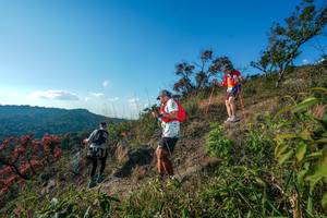 BIB: 
                            <button type="button" onclick="openModal(28098992)" class="btn btn-primary btn-sm float-right btn-popup" data-toggle="modal" data-target=".modal-high-quality">
                        <i class="fas fa-shopping-cart"></i> Add to Cart
                    </button>
                                            <button type="button" onclick="isThisMe(28098992, true)" class="btn btn-success btn-sm float-right btn-popup btn-isme hidden" data-toggle="tooltip" data-placement="bottom" title="นี่คือรูปของคุณใช่ไหม คลิกที่นี่เพื่อเอาเข้าอัลบั้ม">
                        <i class="fas fa-plus"></i> Add to album
                    </button>
                    <button type="button" onclick="isThisMe(28098992, false)" class="btn btn-warning btn-sm float-right btn-popup btn-isnotme hidden">
                        <i class="fas fa-ban"></i> Remove from album
                    </button>