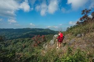 BIB: 
                            <button type="button" onclick="openModal(28095737)" class="btn btn-primary btn-sm float-right btn-popup" data-toggle="modal" data-target=".modal-high-quality">
                        <i class="fas fa-shopping-cart"></i> Add to Cart
                    </button>
                                            <button type="button" onclick="isThisMe(28095737, true)" class="btn btn-success btn-sm float-right btn-popup btn-isme hidden" data-toggle="tooltip" data-placement="bottom" title="นี่คือรูปของคุณใช่ไหม คลิกที่นี่เพื่อเอาเข้าอัลบั้ม">
                        <i class="fas fa-plus"></i> Add to album
                    </button>
                    <button type="button" onclick="isThisMe(28095737, false)" class="btn btn-warning btn-sm float-right btn-popup btn-isnotme hidden">
                        <i class="fas fa-ban"></i> Remove from album
                    </button>