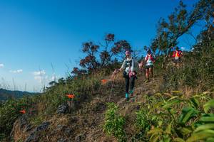 BIB: 
                            <button type="button" onclick="openModal(28098950)" class="btn btn-primary btn-sm float-right btn-popup" data-toggle="modal" data-target=".modal-high-quality">
                        <i class="fas fa-shopping-cart"></i> Add to Cart
                    </button>
                                            <button type="button" onclick="isThisMe(28098950, true)" class="btn btn-success btn-sm float-right btn-popup btn-isme hidden" data-toggle="tooltip" data-placement="bottom" title="นี่คือรูปของคุณใช่ไหม คลิกที่นี่เพื่อเอาเข้าอัลบั้ม">
                        <i class="fas fa-plus"></i> Add to album
                    </button>
                    <button type="button" onclick="isThisMe(28098950, false)" class="btn btn-warning btn-sm float-right btn-popup btn-isnotme hidden">
                        <i class="fas fa-ban"></i> Remove from album
                    </button>